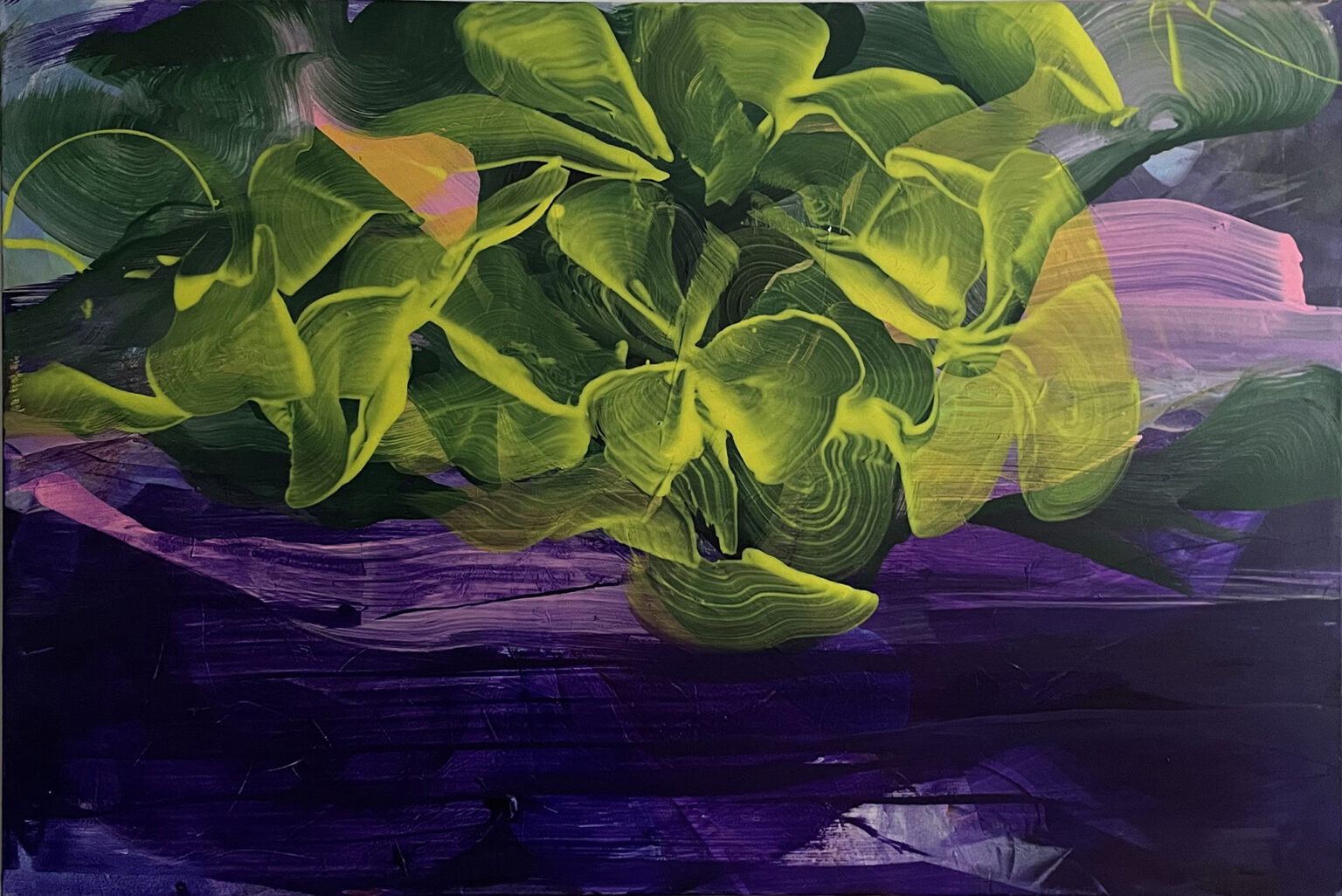 hortensia 11-2023