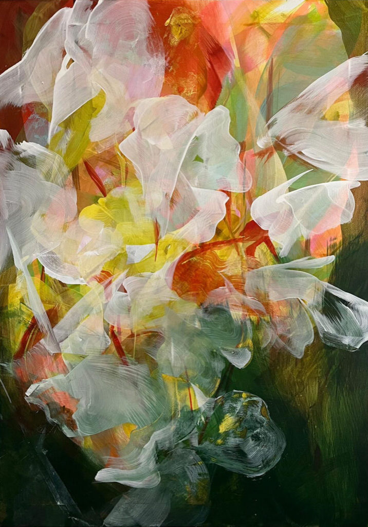butterflies