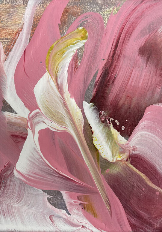 pink 3-2024